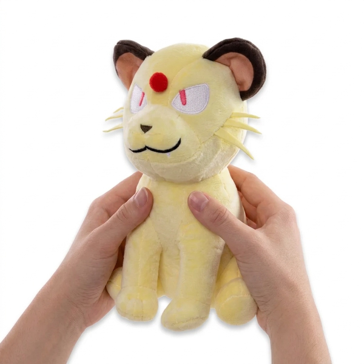 Persian Peluche sostenida en las manos